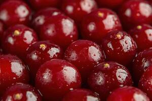 A close up of a bunch of cranberries photo