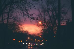 Silhouettes of trees and streetlights against a blurred sunset sky. photo