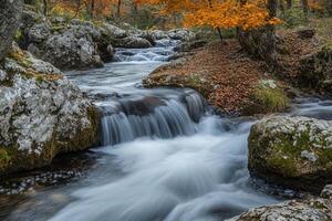 Tranquil creek flowing over mossy rocks with an autumnal backdrop. photo