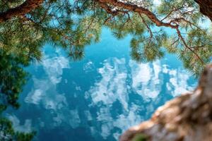 Tree branches framing a view of the blue sky reflected in a calm body of water. photo