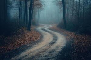 Winding dirt road through a misty forest. photo