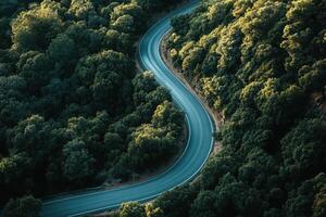 Winding road through lush green forest from an aerial perspective. photo
