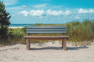 Wooden bench on sandy beach facing the ocean. photo