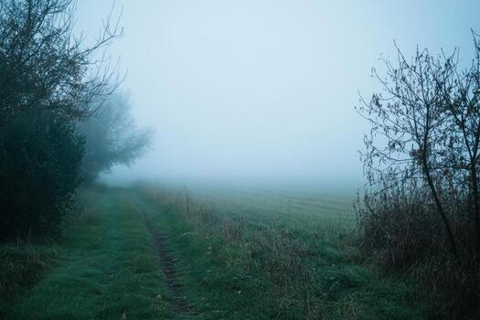 A path is shown in the fog on a field photo