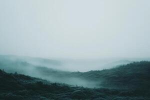 A misty forest landscape with rolling hills. photo