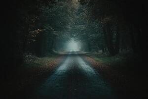 A misty road through a forest, with a sense of mystery and solitude. photo