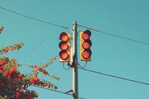 A red traffic light with a blue sky and foliage in the background. photo