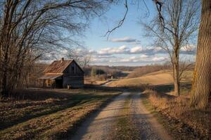 A rustic wooden cabin sits at the end of a long dirt road through a field. photo