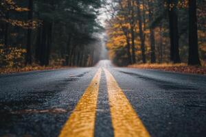 A straight road through a foggy autumn forest, with yellow double lines in the center. photo