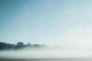 A thick fog blankets a field with a line of trees in the distance, bathed in soft morning light. photo