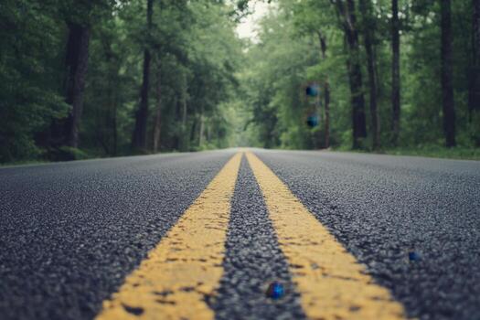 A winding road through a forest with yellow lines down the center. photo