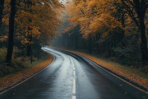 A winding road through a misty autumn forest. photo