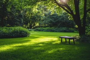 A wooden bench sits alone on a grassy lawn surrounded by lush greenery and sunlight. photo
