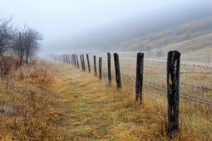 Foggy morning in the mountains photo