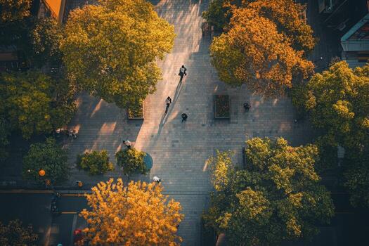 Aerial view of a city park with trees and people walking on a paved pathway. photo