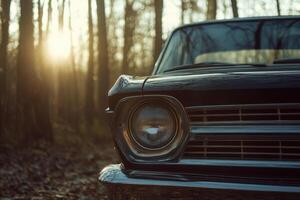 An old black car is parked in the woods photo
