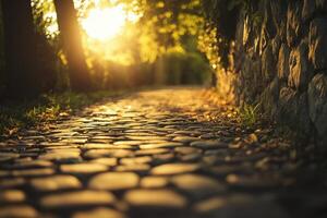 Cobblestone path leading into a forest with the sun shining through the trees. photo