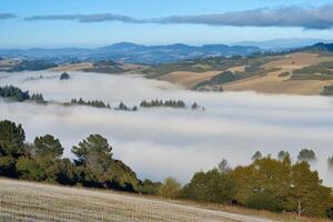 Fog rolling through a valley, covering the hills and fields. photo