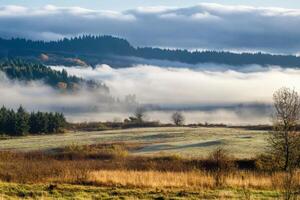 Foggy morning over a field with rolling hills in the background. photo