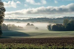 Foggy morning over farmland with trees in the distance. photo