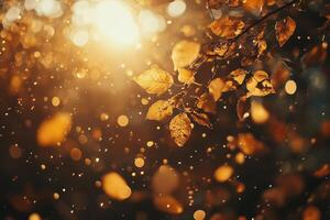 Golden leaves against a sunlit background with bokeh effect. photo