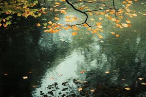 Golden leaves on branches over calm, still water with reflections. photo