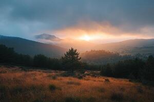 Golden sunrise over a lone tree in a mountain meadow. photo