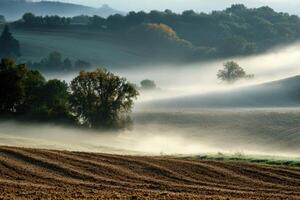 Misty morning over a rolling, cultivated field. photo