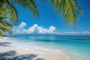 Palm trees frame a pristine white sand beach and turquoise ocean under a blue sky. photo