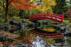 Red bridge over a pond in autumn foliage. photo
