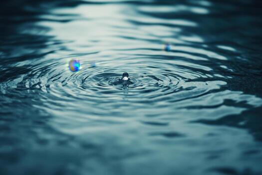 A single drop of water creates ripples on the surface of a still pond. photo