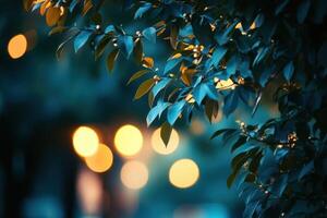 Close-up of green leaves with blurred out-of-focus lights in background. photo