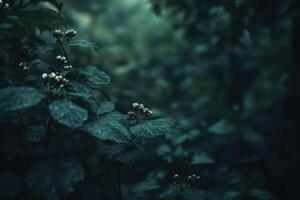Lush green foliage with water droplets on leaves in a misty forest. photo