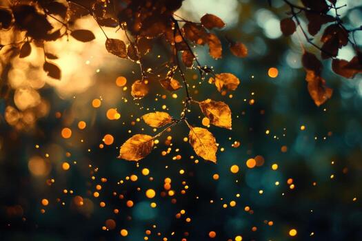 Golden leaves with bokeh lights in autumn forest. photo