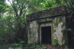 An abandoned, moss-covered structure with a doorway in a dense forest. photo