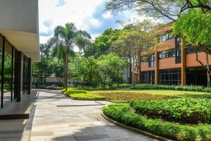 Modern office building with lush landscaping and a paved walkway. photo