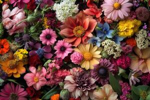 A vibrant and colorful collection of assorted flowers. photo