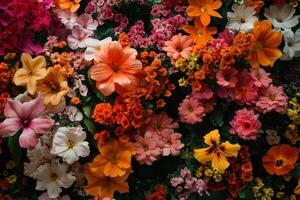 A vibrant mix of colorful flowers create a beautiful floral background. photo