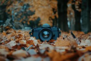 Vintage camera resting on a bed of autumn leaves. photo