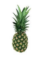 Fresh pineapple slice, a healthy tropical snack icon isolated vector