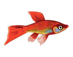 fish swimming on white background icon isolated vector