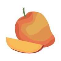 An slice of mango on a white background vector