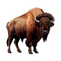 Large horned bison on white background icon isolated vector