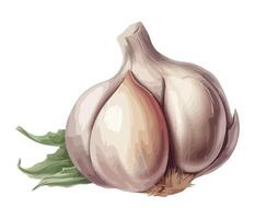 Fresh organic vegetables, ripe garlic, seasoning icon isolated vector