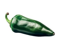 Fresh chili pepper vegetables, ripe and full of flavor icon isolated vector