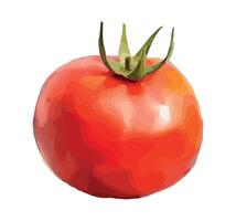 Red-cheeked tomatoes icon vector