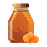 A jar of honey with a few oranges on a white background vector