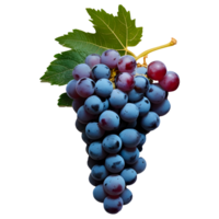 Fresh Red Grapes with No Background for Design Use png