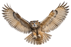 Front view, Great Horned Owl is spreading its wings and flying isolated on a transparent background png