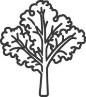 Line drawing of a single stalk of kale vector